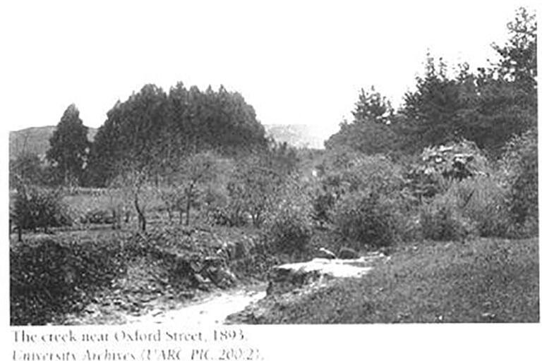 Historic photograph of Strawberry Creek near Oxford Street in 1893; no buildings are apparent, only a creek and vegetation