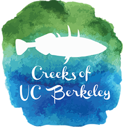 Creeks of UC Berkeley Logo