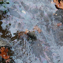 Diesel oil that spilled into the creek