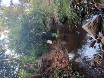 Intern Andrew removed trash from the creek